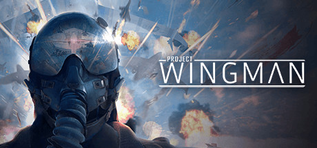 僚机计划 / Project Wingman 更新v2.1.0