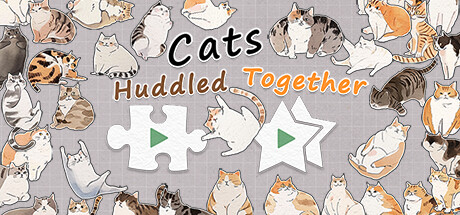 挤在一起的猫猫 / Cat Huddled Together